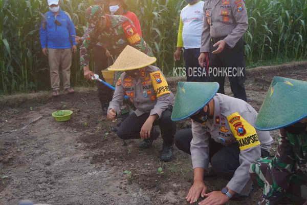 Kapolres Mojokerto Tanam Terong
