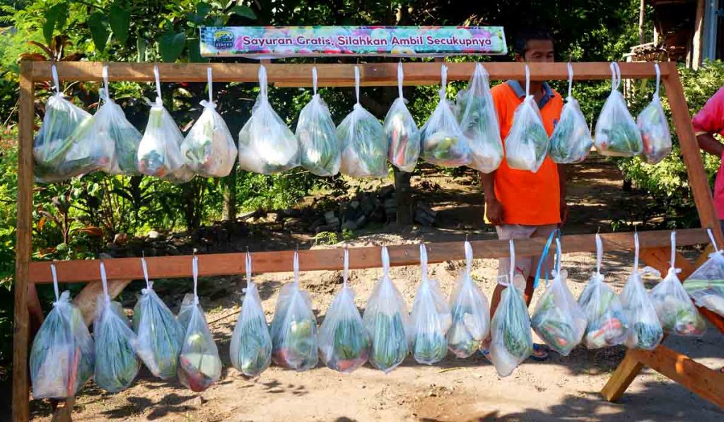 Kampung Tangguh Bagi Sayuran