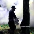 Penyemprotan Nyamuk Fogging