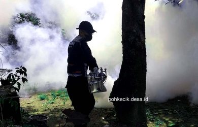 Penyemprotan Nyamuk Fogging