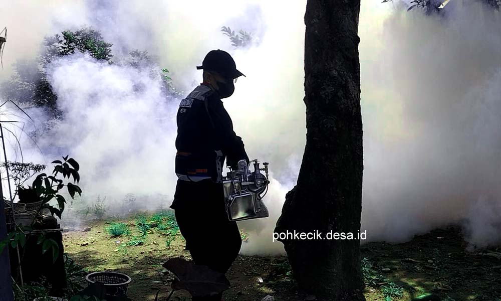 Penyemprotan Nyamuk Fogging